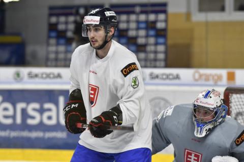 Zraz hokejovej reprezentácie pred MS